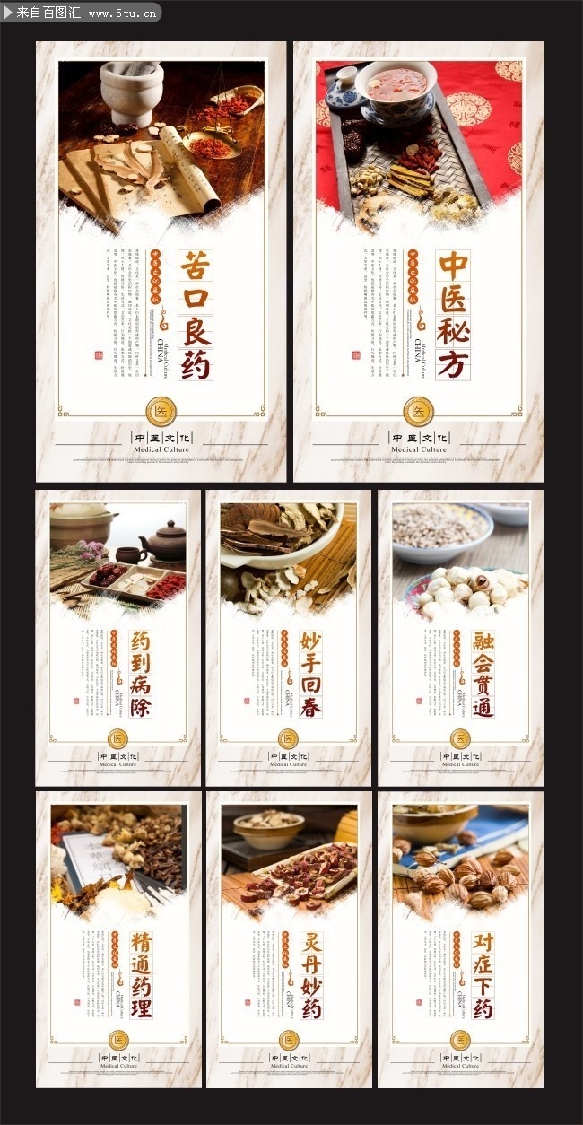 中国风中医文化挂画