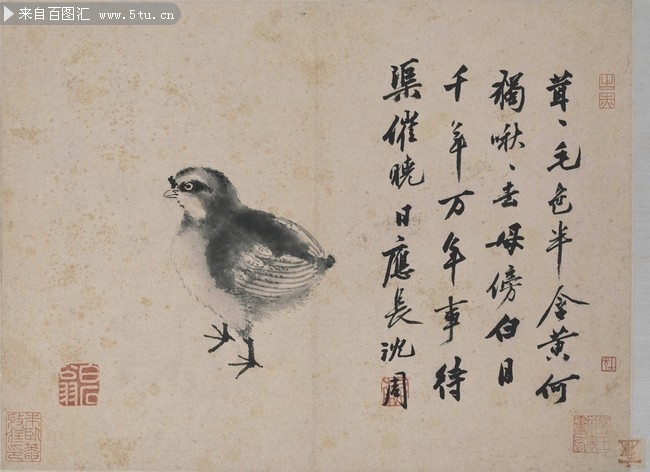 明沈周小鸡古画图片素材