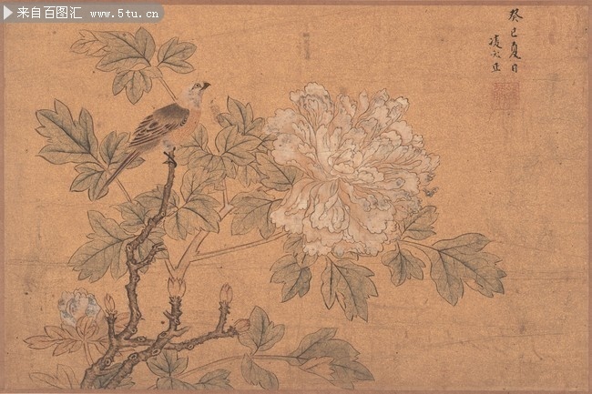 明王时敏花鸟牡丹古画图片