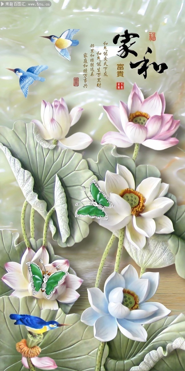 �Һ͸���ɻ�װ�λ�ͼƬ