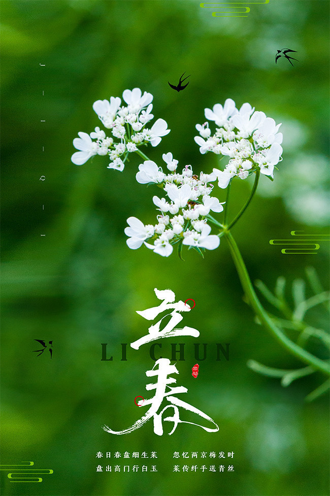 ��Լ�紺��������������