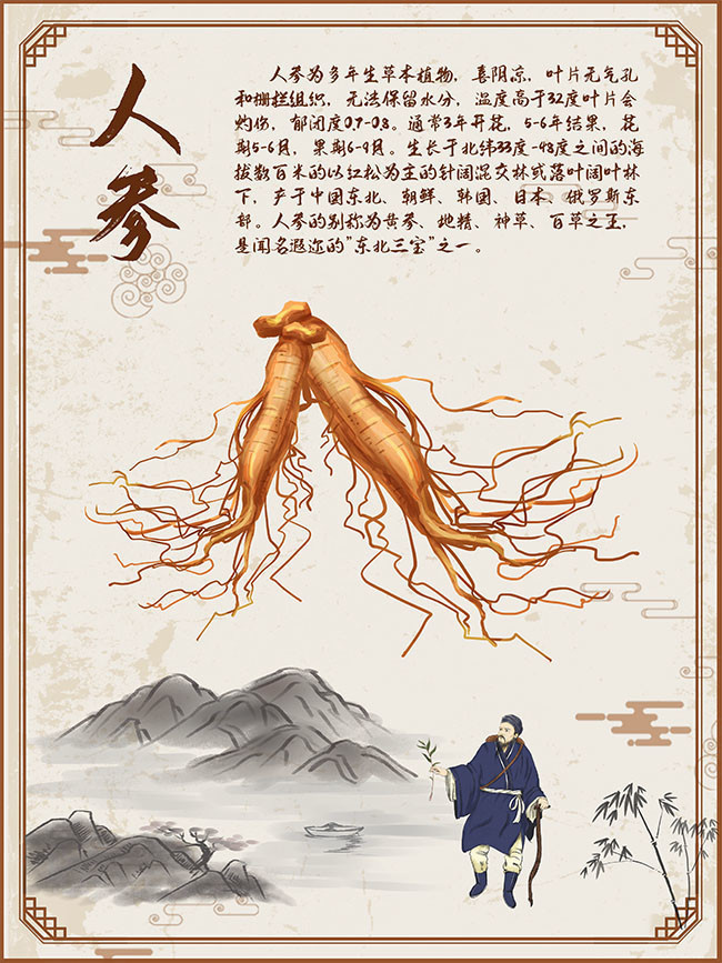 古风中药海报
