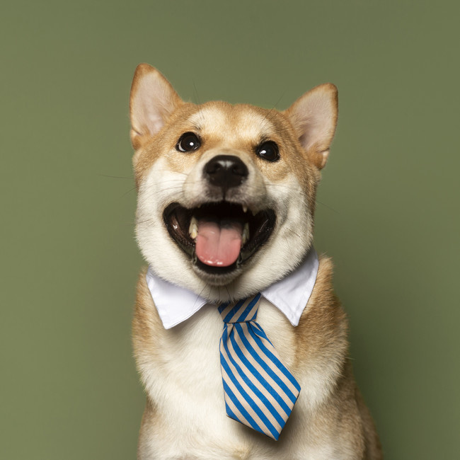 �ɰ�����������ӰͼƬ����