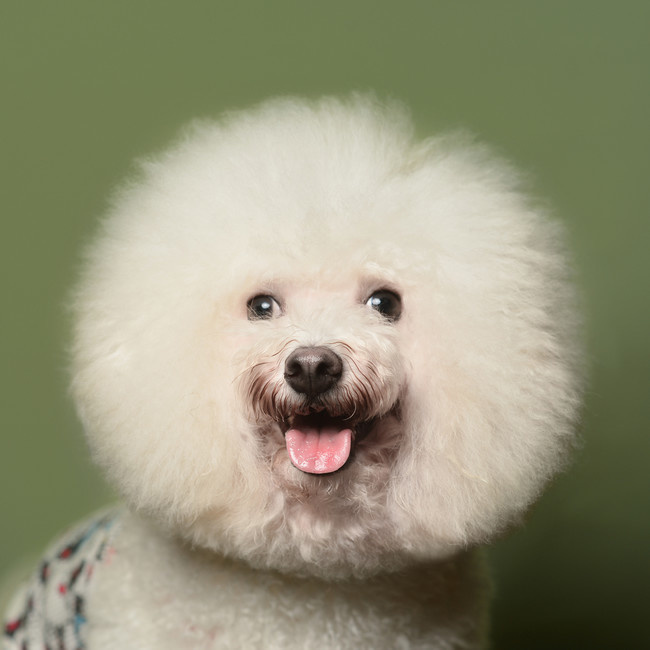 �ɰ����������ֽͼƬ�ز�
