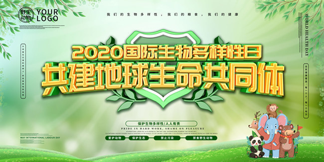 国际生物多样性日环保宣传图片素材