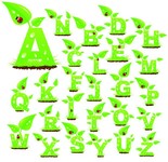 ��ɫ��̬��ĸ����