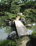公园小桥流水风景