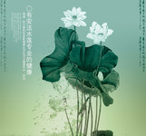 国画 荷花PSD