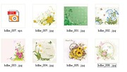 花纹花卉