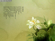 爱莲说诗词插画