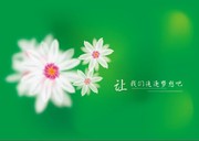 ���뱳�� С�ջ�