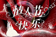 情人节快乐 玫瑰花背景