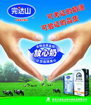 纯牛奶宣传海报