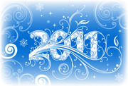 2011���廨��