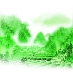 茶文化背景 茶山
