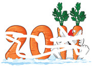 2011��������