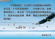 企业团队精挂图