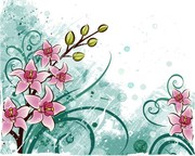 百合花图片 鲜花矢量图
