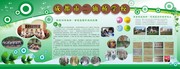 原创学校简介展板模板