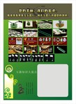 原创玉器宣传单设计
