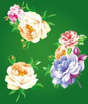 牡丹花图案 鲜花矢量图
