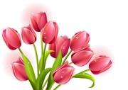 �ٺϻ�ʸ��ͼ �ʻ��ز�