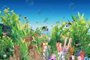 海底世界PSD图片