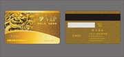 ��������ʸ�VIP�� �����ģ��