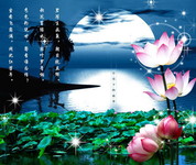 荷塘PSD素材 夏天夜景图片
