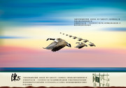 陈家地产宣传海报 大雁图片