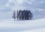 冬天雪景图片 一望无垠的雪地