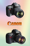 尼康d700相机图片 NIKON相机图片