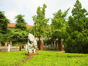 植物绿树图片 校园办公楼外景摄影