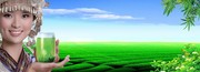 ���Ļ������������ �̵���ͷģ��