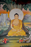 菩提迦耶释迦本师壁画 