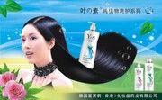 爱茉莉洗发露宣传海报 秀发图片