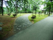公园风景摄影图片