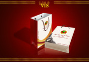 VI提案模板 手提袋设计效果图