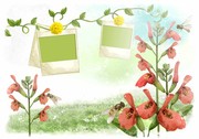 �۷����ˮ�ۻ�ͼƬ ���쾰ɫ