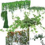 绿色植物PSD素材