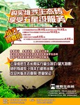 创意瓷砖宣传海报 清新自然图片 