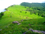乡村大山图片 青青草地图片