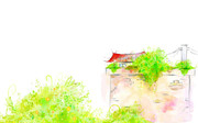 ˮ�ʷ羰��ͼƬ ��ͨ�羰����