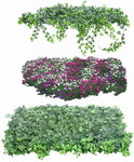 植物园艺素材