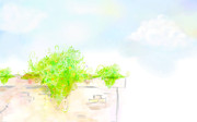 ���羰ˮ�ʻ� 