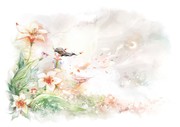 手绘百合花图片 唯美插画电脑壁纸