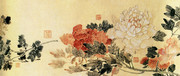 ֲ�ﻨ�ܹ���ͼƬ 