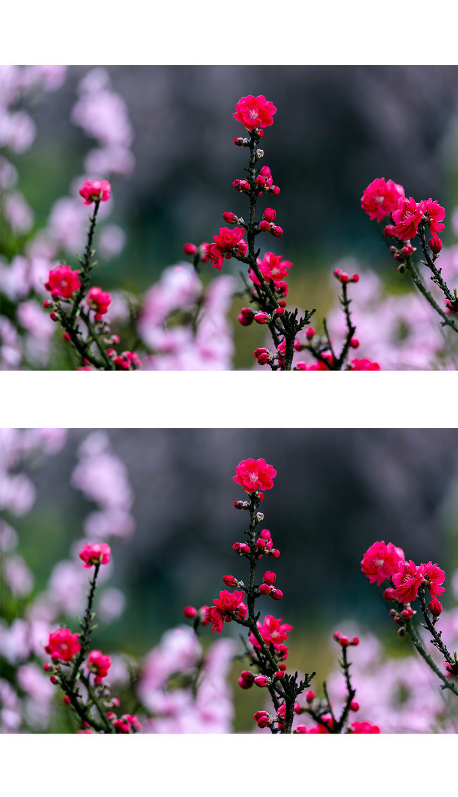 �һ�ͼƬ