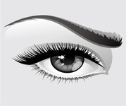 眼睛矢量图 美女眼睛素描
