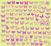 ��PS·���ĺ����ز�